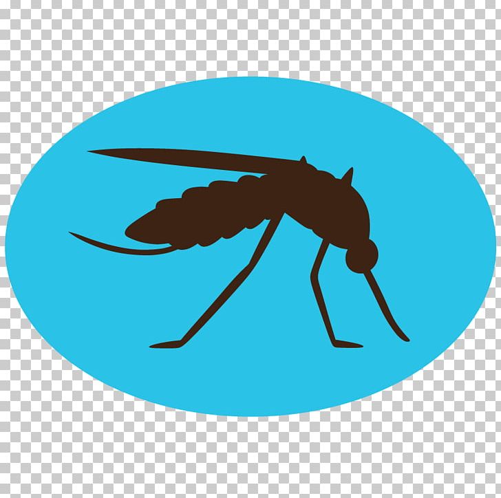 Mosquito Insect PNG, Clipart, Azure, Computer Icons, Culex Pipiens, Electric Blue, Fly Free PNG Download