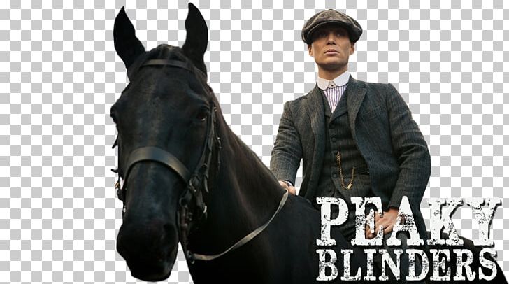 Peaky Blinders PNG, Clipart, Bridle, Cillian Murphy, Equestrian, Game Of Thrones, Game Of Thrones Season 1 Free PNG Download