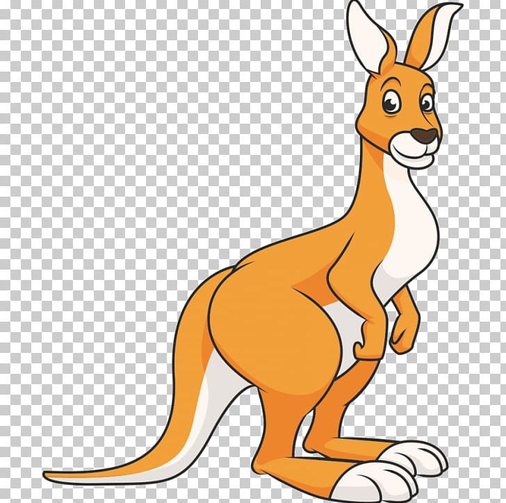 Red Kangaroo PNG, Clipart, Animals, Animation, Artwork, Boxing Kangaroo, Carnivoran Free PNG Download