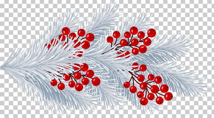 Leaf Branch Others PNG, Clipart, Art Museum, Branch, Christmas, Download, Flowering Plant Free PNG Download