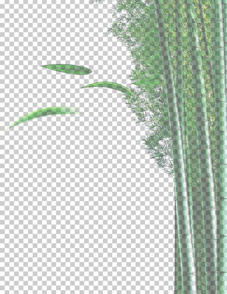 Bamboo Bamboe Euclidean Plant PNG, Clipart, Angle, Bamboe, Bamboo, Bamboo Border, Bamboo Frame Free PNG Download