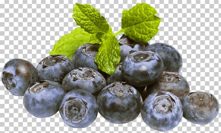 Blueberry Portable Network Graphics Desktop Fruit PNG, Clipart, Berry, Bilberry, Blueberry, Chokeberry, Damson Free PNG Download