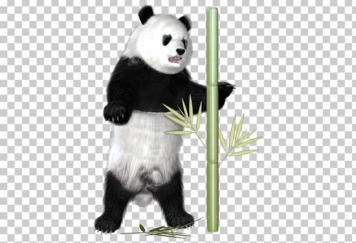 Giant Panda Pandas And Bamboo Animal PNG, Clipart, Animal, Bamboo Zen Spa, Bear, Blog, Carnivoran Free PNG Download