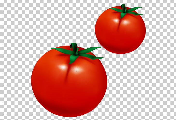 Plum Tomato Kids Urdu Qaida Bush Tomato Fun Graphics PNG, Clipart, Apple, Exquisite, Food, Fruit, Happy Birthday Vector Images Free PNG Download