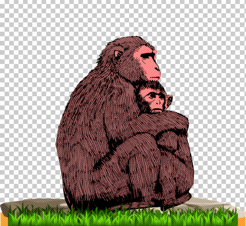 Old World Monkeys Macaques World Cartoon Man-ape PNG, Clipart, Cartoon, Human, Macaques, Manape, Old World Monkeys Free PNG Download