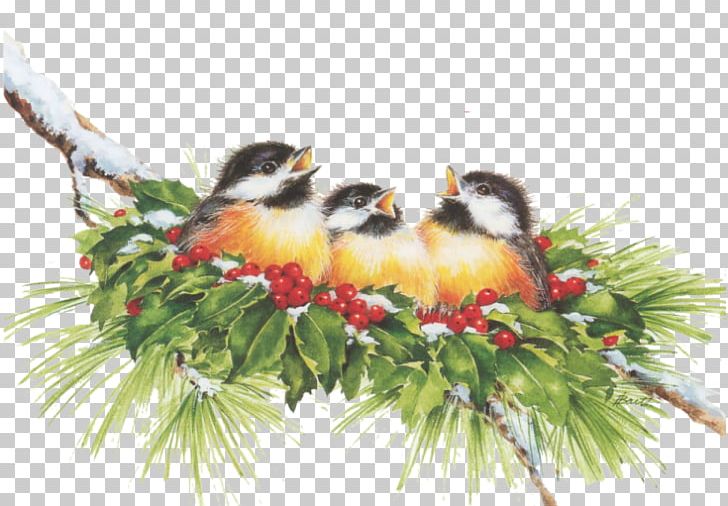Christmas Ornament Beak Branching PNG, Clipart, Beak, Bird, Branch, Branching, Christmas Free PNG Download