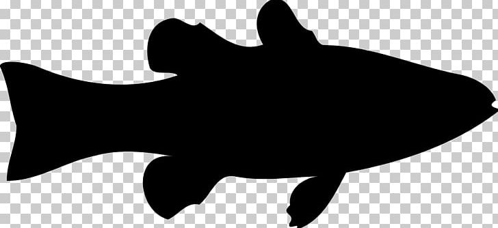 Silhouette Fish Line Art PNG, Clipart, Animals, Bass, Black, Black And White, Clip Art Free PNG Download