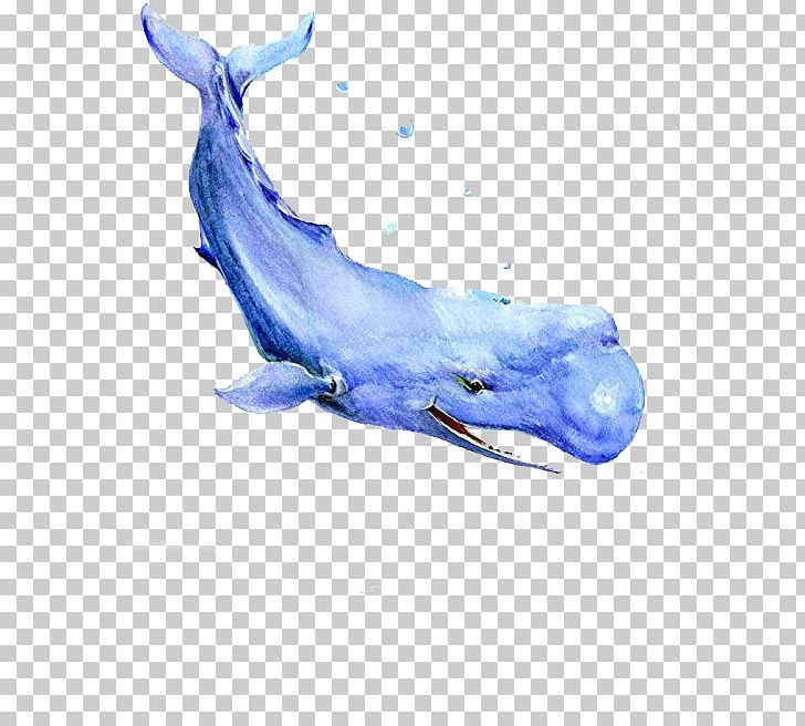 Baleen Whale Blue Whale Watercolor Painting PNG, Clipart, Animals, Blue, Blue Abstract, Cetacea, Electric Blue Free PNG Download