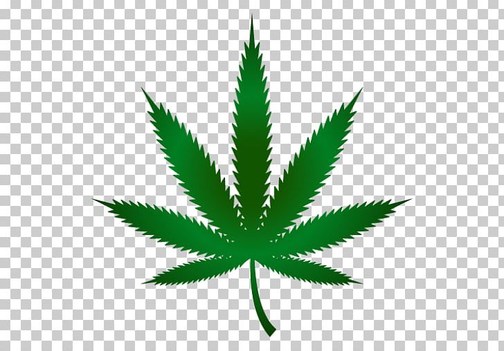 Cannabis Ruderalis Cannabis Cultivation Leaf Marijuana PNG, Clipart, Cannabis, Cannabis Cultivation, Cannabis Ruderalis, Cannabis Smoking, Hemp Free PNG Download