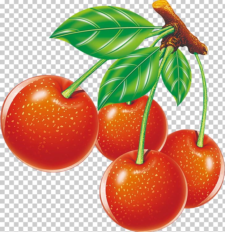 Cherry Strawberry Auglis PNG, Clipart, Adobe Illustrator, Apple, Auglis, Cherries, Cherry Free PNG Download