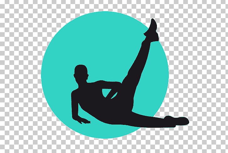 Physical Fitness Pictogram Pilates Weight Training PNG, Clipart, Aerobic Exercise, Aqua, Bauchmuskulatur, Joint, Personal Trainer Free PNG Download