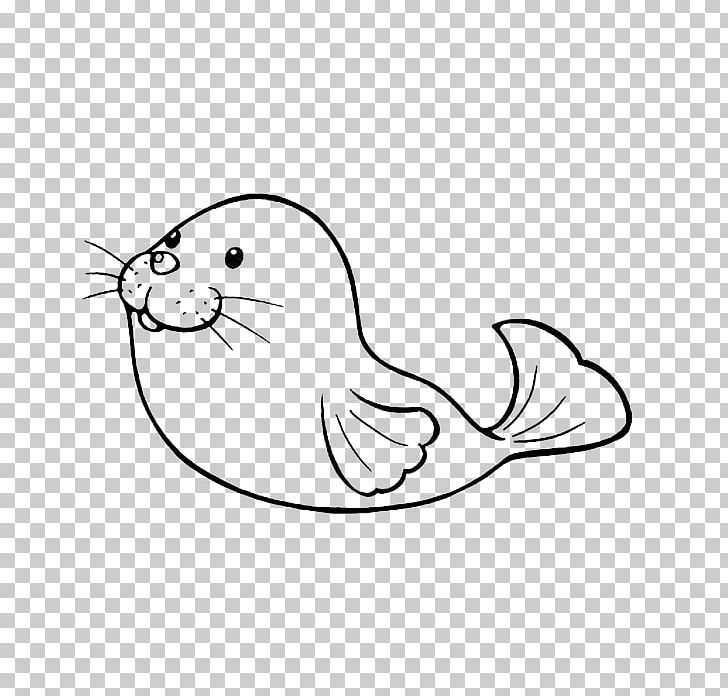 Steller Sea Lion Earless Seal Stroke Cuteness PNG, Clipart, Adult, Animal, Animals, Bird, Black Free PNG Download