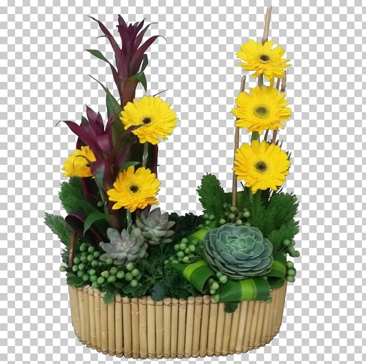 Transvaal Daisy Floral Design Flowerpot Cut Flowers PNG, Clipart, Artificial Flower, Cut Flowers, Daisy Family, Floral Design, Floristry Free PNG Download