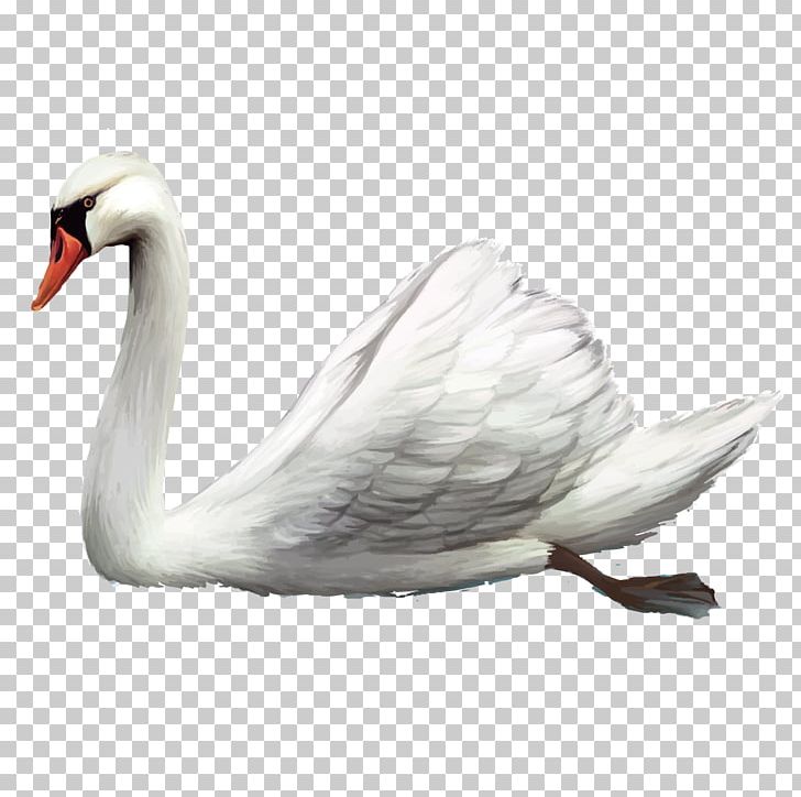 Cygnini Bird Cartoon PNG, Clipart, Animals, Beak, Cmyk Color Model, Creative Work, Ducks Geese And Swans Free PNG Download