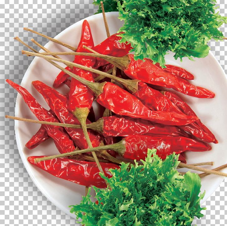 Chili Pepper Spice Food Condiment PNG, Clipart, Animal Source Foods, Bell Peppers And Chili Peppers, Birds Eye Chili, Black Pepper, Cayenne Pepper Free PNG Download