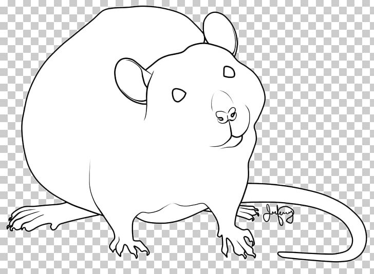 Rat Whiskers Drawing Line Art PNG, Clipart, Animals, Area, Art, Black, Black And White Free PNG Download