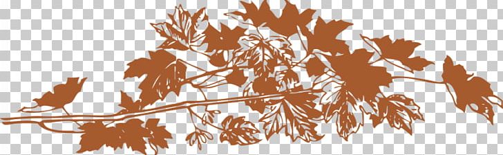 Autumn Leaf Color Autumn Leaf Color PNG, Clipart, Autumn, Autumn Leaf Color, Autumn Leaves, Branch, Color Free PNG Download