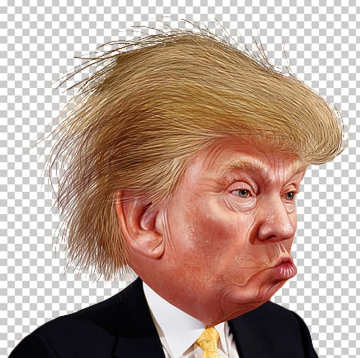 Donald Trump Portable Network Graphics Funny Face PNG, Clipart, Blond, Caricature, Celebrities, Chin, Donald Free PNG Download