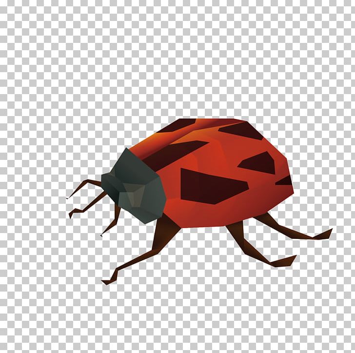 Insect Ladybird Euclidean PNG, Clipart, Adobe Illustrator, Christmas Decoration, Cockroach, Decorative, Encapsulated Postscript Free PNG Download
