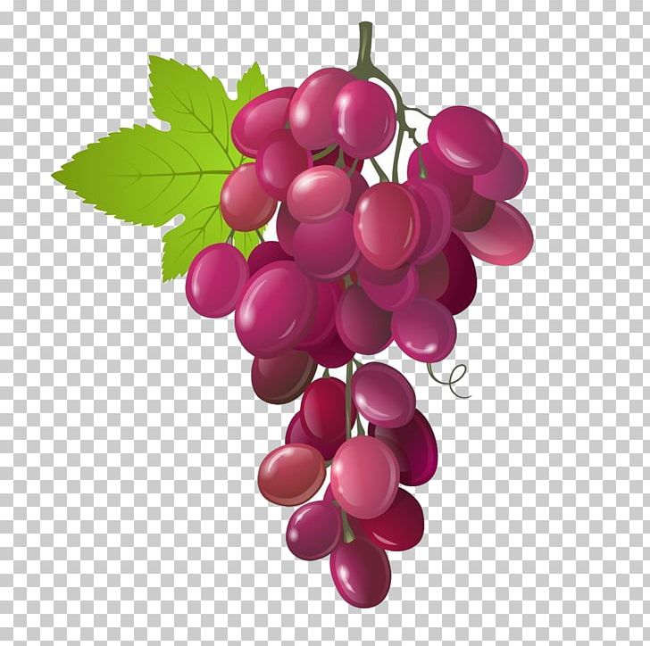 Vegetarian Cuisine Organic Food Fruit Berry Grape PNG, Clipart, Blackberry, Black Grapes, Cherry, Food, Fruit Free PNG Download