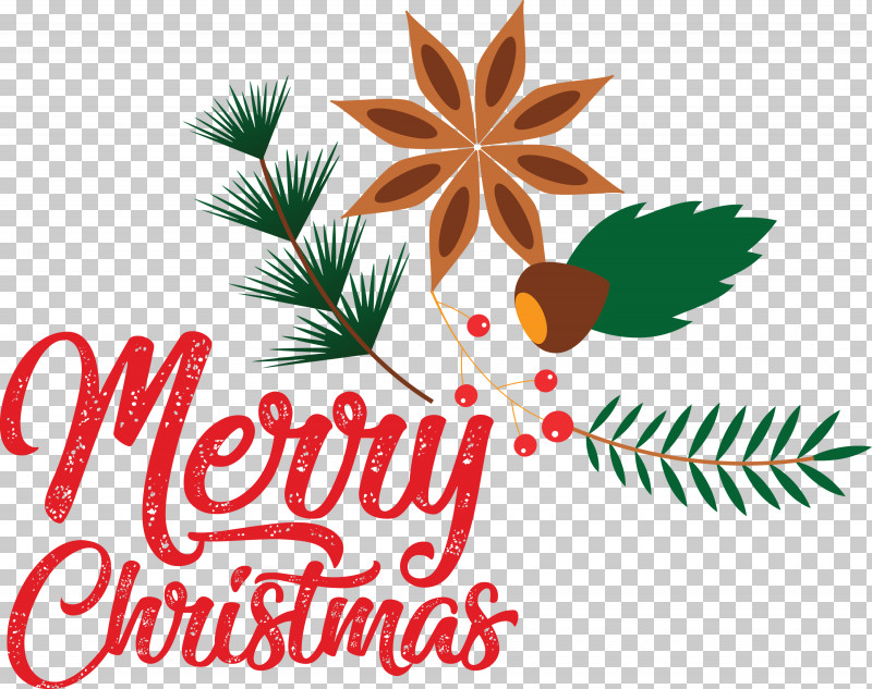 Merry Christmas PNG, Clipart, Christmas Day, Christmas Ornament, Conifers, Leaf, Line Free PNG Download