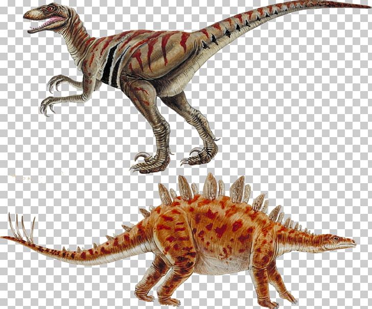 Dinosaur Deinonychus Velociraptor Stegosaurus Allosaurus PNG, Clipart, Animal Figure, Cartoon Dinosaur, Cute Dinosaur, Dinosaur Egg, Dinosaur Silhouette Free PNG Download