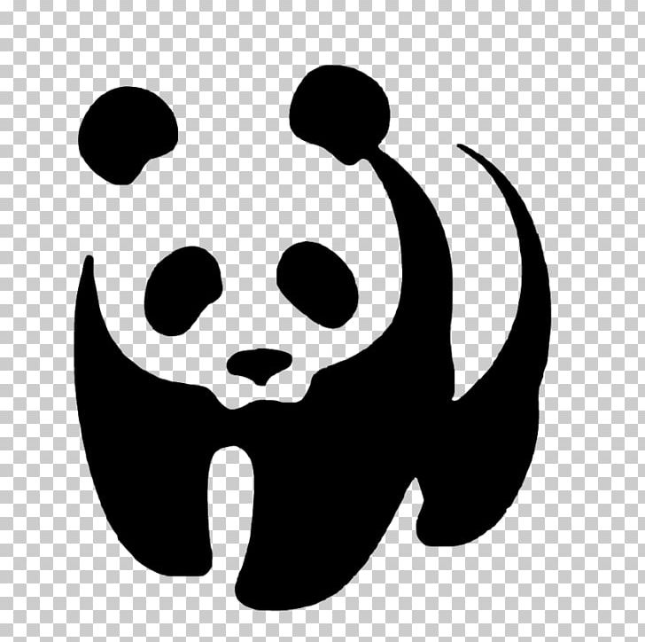 Giant Panda Bear Stencil World Wide Fund For Nature Logo PNG, Clipart, Animals, Bear, Black, Black And White, Craft Free PNG Download