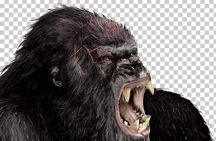 Hollywood King Kong Godzilla Rodan Film PNG, Clipart, Adventure Film, Animals, Chimpanzee, Common Chimpanzee, Film Free PNG Download