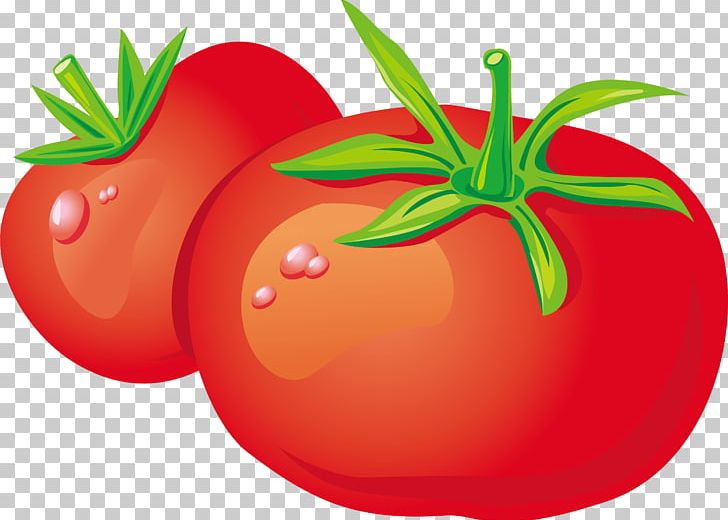 Vegetable Zakuski Tomato Fruit PNG, Clipart, Apple, Cartoon Character, Cartoon Cloud, Cartoon Eyes, Cartoons Free PNG Download