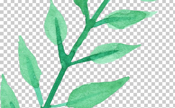 Watercolour Flowers Watercolor Painting Drawing PNG, Clipart, Art, Branch, Drawing, Flower, Grass Free PNG Download