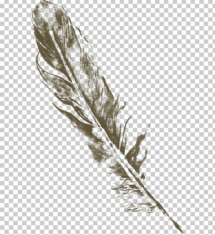 Feather Drawing Quill Art PNG, Clipart, Animals, Art, Arts, Black And White, Branch Free PNG Download