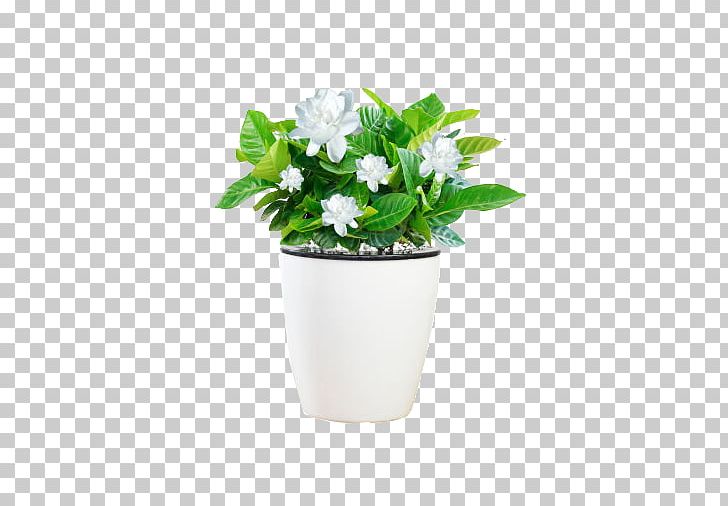 Grow Light Houseplant Light-emitting Diode PNG, Clipart, Artificial Flower, Basin, Black Suit, Bonsai, Clothing Free PNG Download