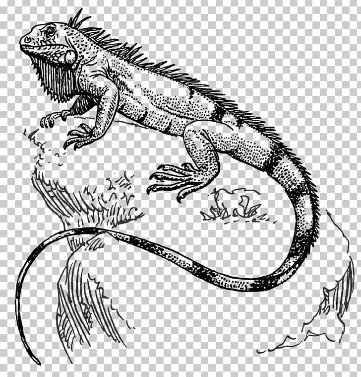 Lizard Green Iguana Reptile Drawing PNG, Clipart, Amphibian, Animals, Art, Artwork, Black And White Free PNG Download