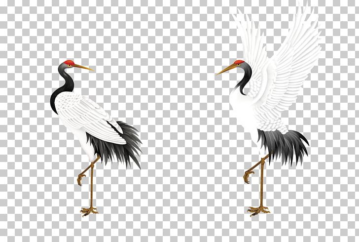 Red-crowned Crane Jichang Garden Bird Budaya Tionghoa PNG, Clipart, Animal, Beak, Budaya Tionghoa, Construction Crane, Crane Free PNG Download