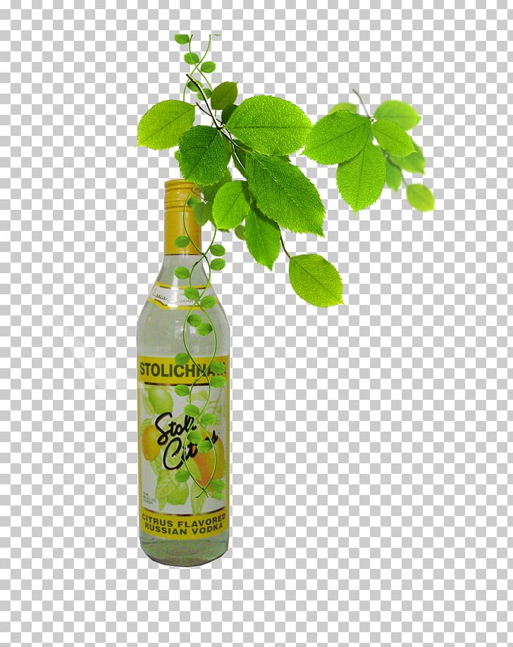 Soft Drink Apple Juice Carbonated Drink Lemon-lime Drink PNG, Clipart, Alcoholic Drinks, Apple Juice, Bottle, Carbonated Drink, Download Free PNG Download