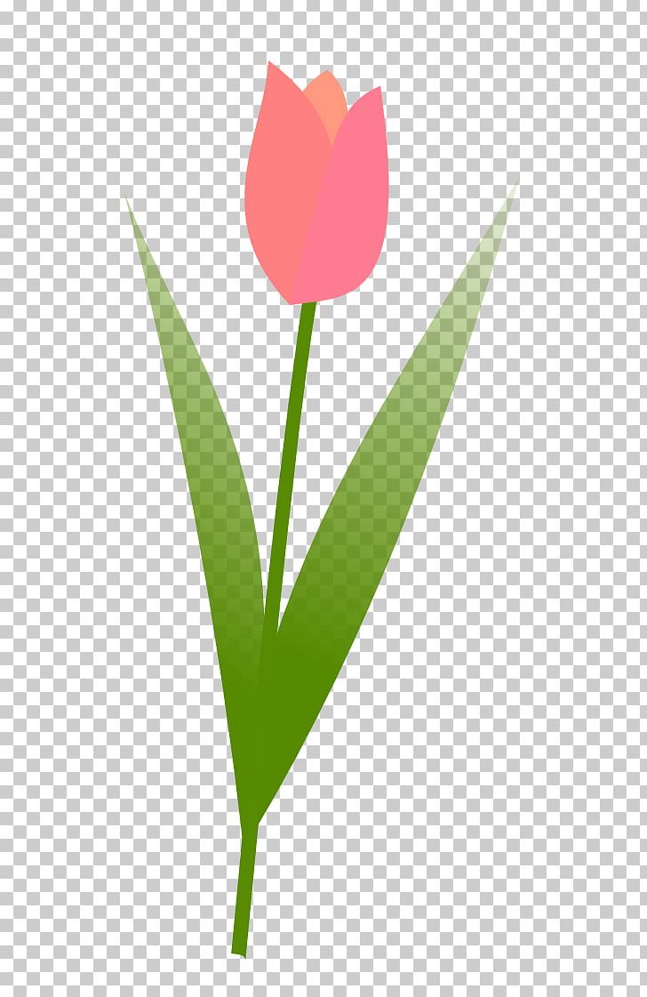 Tulip Free Content Flower PNG, Clipart, Blog, Computer Icons, Computer Wallpaper, Download, Flora Free PNG Download