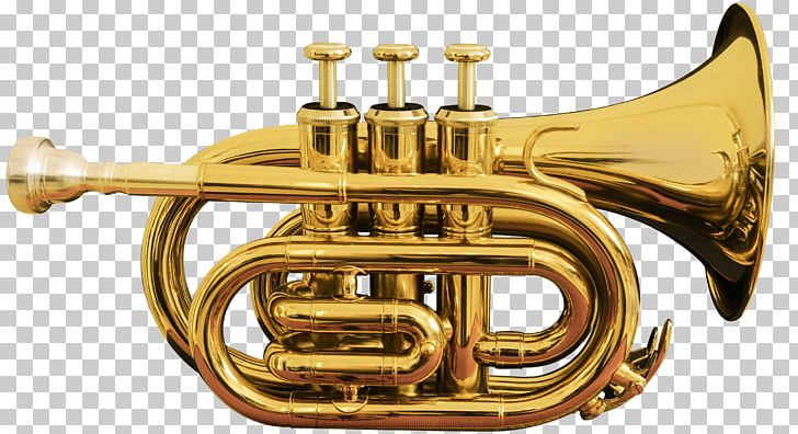Cornet Trumpet Musical Instrument Brass Instrument Bore PNG, Clipart, Alto Horn, Bore, Brass, Brass Instrument, Brass Instruments Free PNG Download