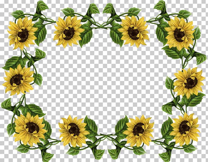 Drawing Flower PNG, Clipart, Art, Art Museum, Border, Common Sunflower, Cut Flowers Free PNG Download