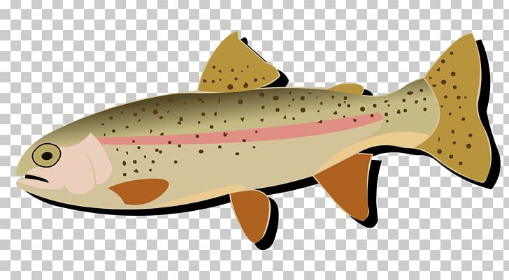 Salmon Cutthroat Trout Rainbow Trout Fish PNG, Clipart, Bony Fish, Brown Trout, Cutthroat Trout, European Perch, Fish Free PNG Download