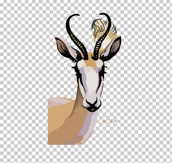 Springbok Watercolor Painting Photography Illustration PNG, Clipart, Animal, Animals, Antelope, Art, Cow Goat Family Free PNG Download