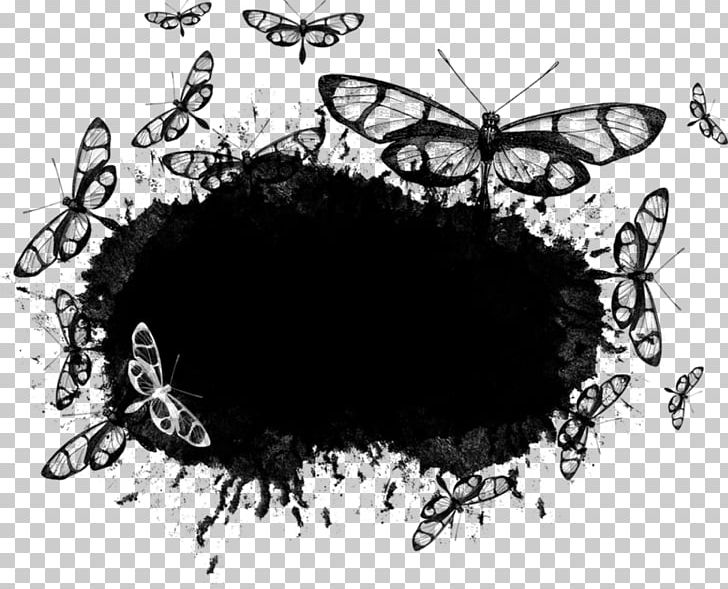 Frames PNG, Clipart, Artwork, Black And White, Butterfly, Circle, Computer Wallpaper Free PNG Download