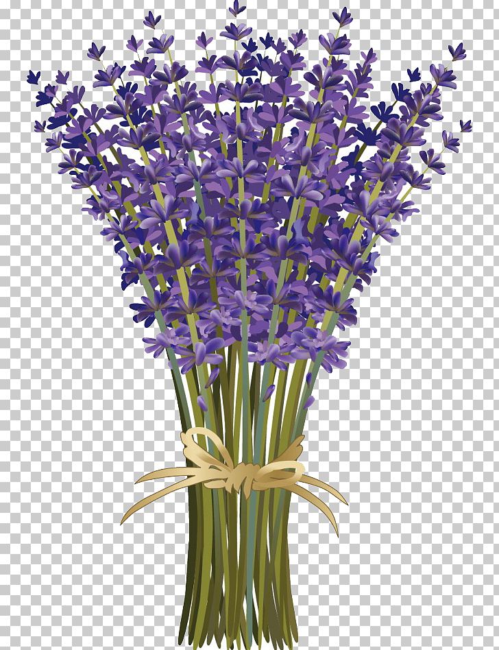 Lavandula Dentata French Lavender Flower Bouquet Floral Design PNG, Clipart, Botanical Illustration, Bouquet, Boy Cartoon, Cartoon Character, Cartoon Couple Free PNG Download