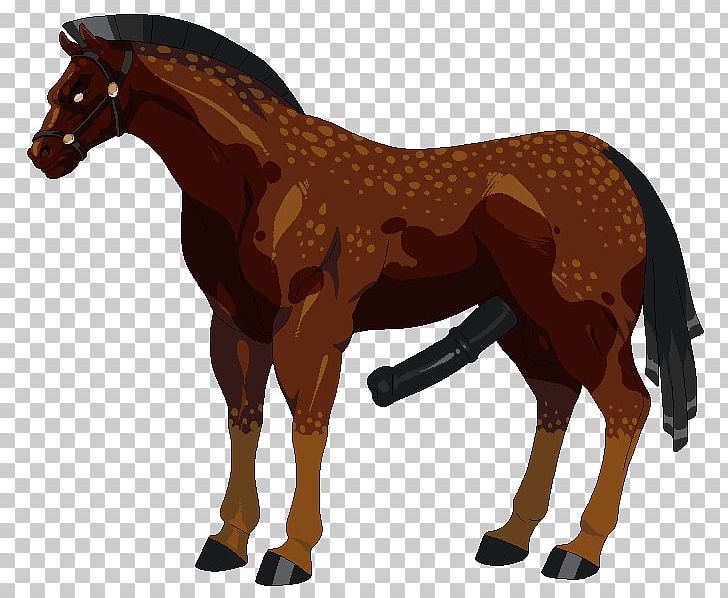 Mustang Stallion Andalusian Horse Foal Mare PNG, Clipart, All About Birds, Andalusian Horse, Animal Figure, Breed, Breeding Season Free PNG Download