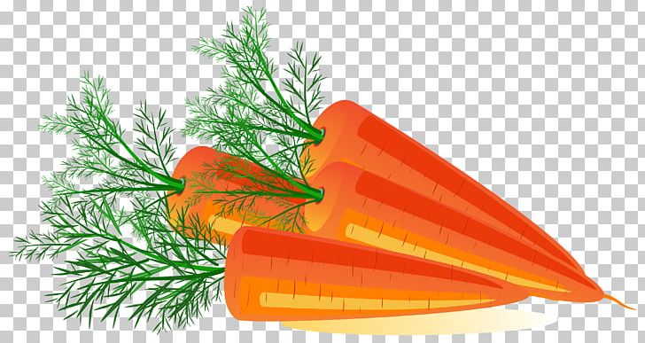 Carrot Computer Icons Stock Photography PNG, Clipart, Baby Carrot, Carrot, Computer Icons, Download, Encapsulated Postscript Free PNG Download