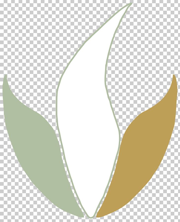 Petal Line Leaf PNG, Clipart, Angle, Art, Flora, Flower, Kaolin Free PNG Download