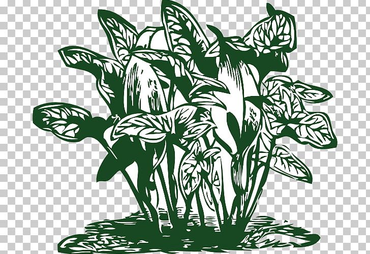 Plant Scalable Graphics PNG, Clipart, Black And White, Computer Icons, Download, Fictional Character, Flora Free PNG Download