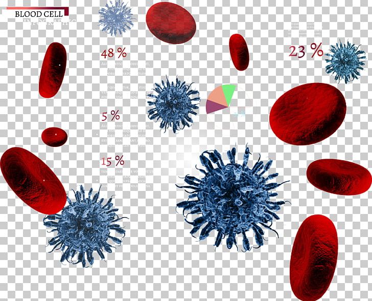 Red Blood Cell Euclidean PNG, Clipart, Blood, Blood Cell, Blood Vector, Cancer Cell, Cell Free PNG Download