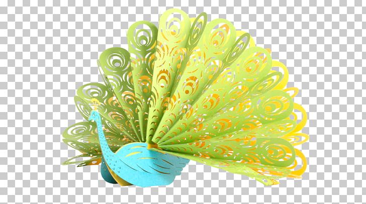Feather Green Pavo Greeting & Note Cards PNG, Clipart, Animals, Aquarium Decor, Feather, Green, Greeting Note Cards Free PNG Download
