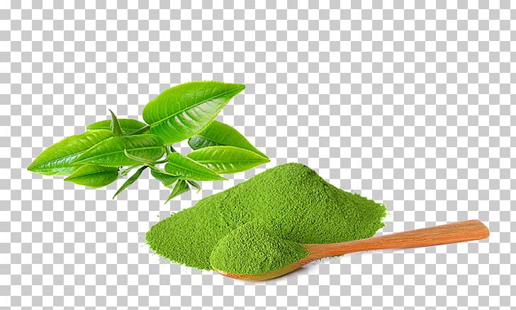 Matcha Green Tea Tea Plant Ice Cream PNG, Clipart, Cooking, Drink, Flavor, Flour, Green Tea Free PNG Download