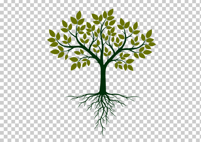 Tree Leaf Plant Branch Plant Stem PNG, Clipart, Branch, Flower, Grass, Leaf, Plant Free PNG Download